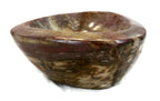 Tree Ringed Petrified Wood Bowl