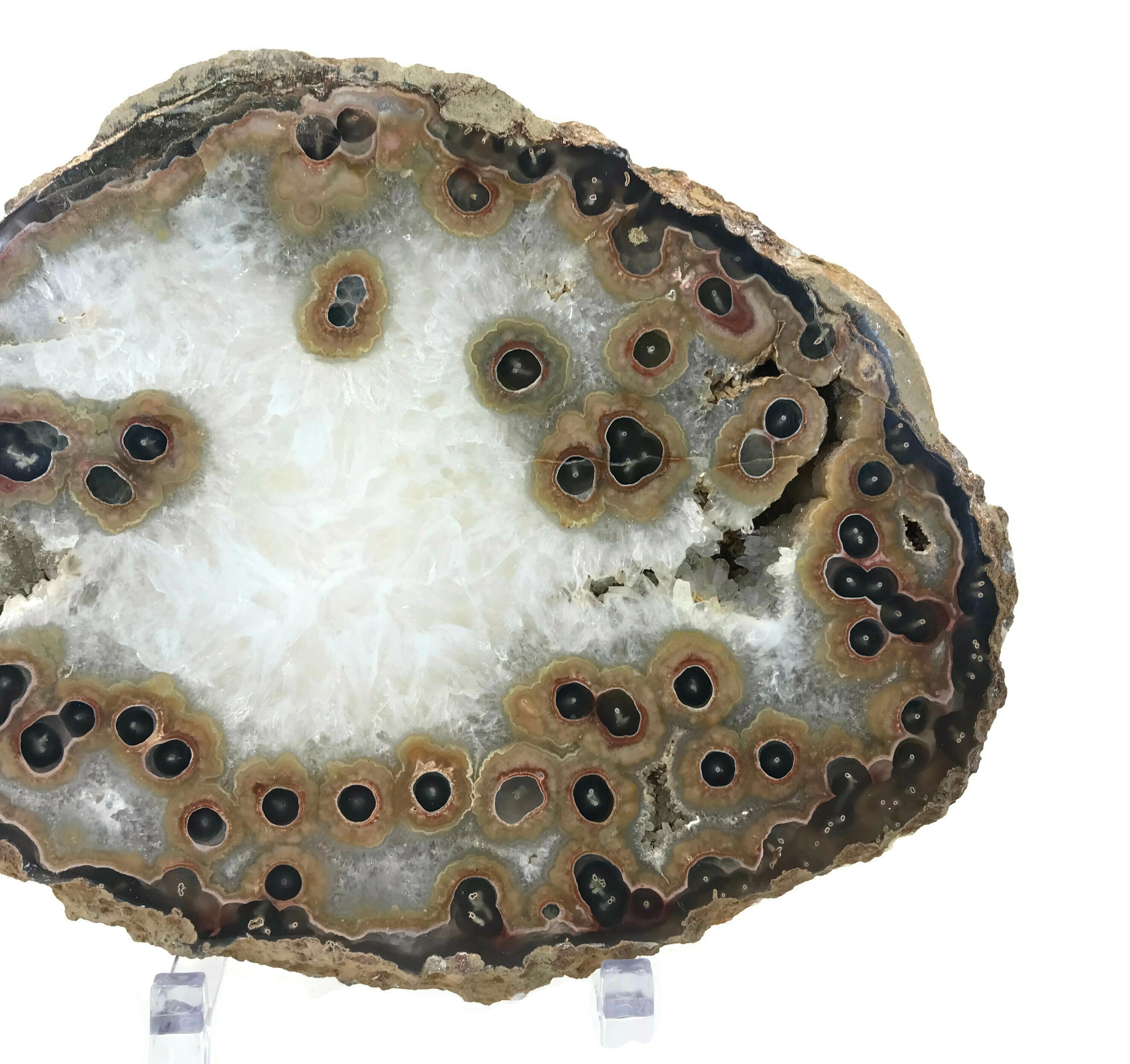 Dramatic Eyed Agate Endcap