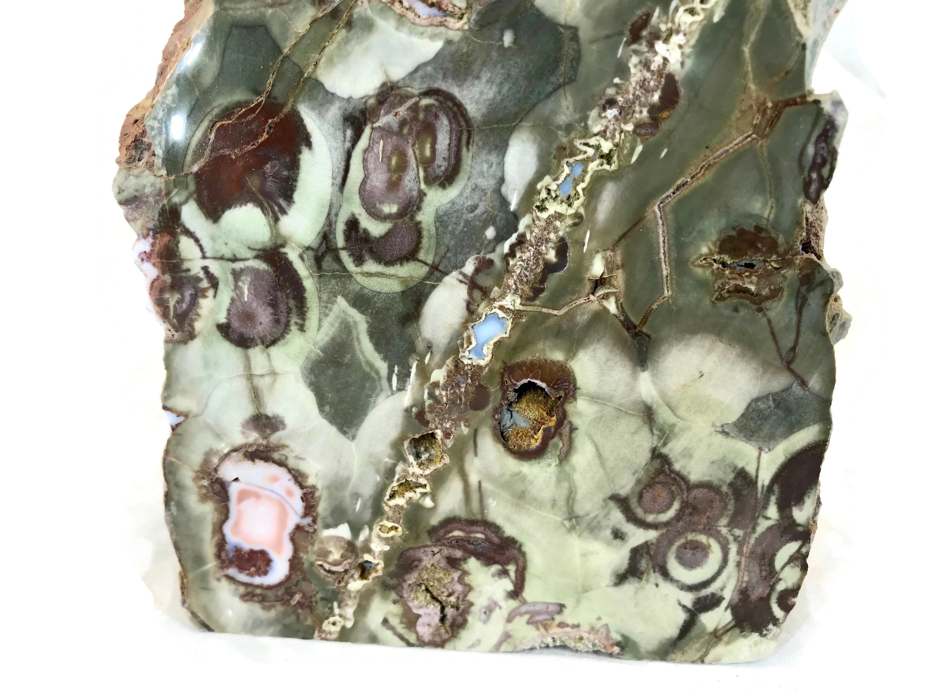 Australian Rainforest Jasper Nodule