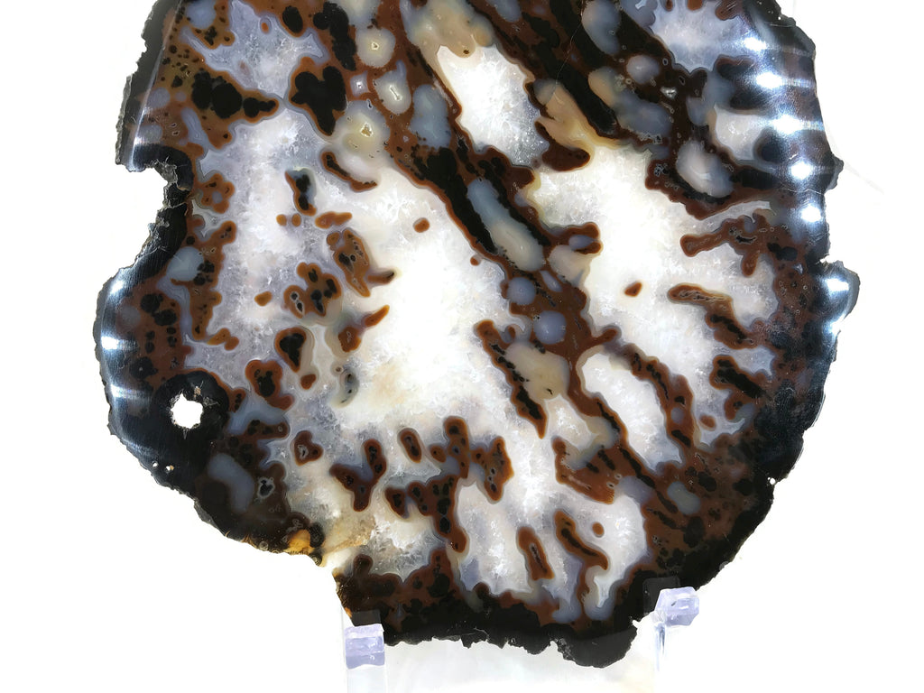 Dotted Agate Slice