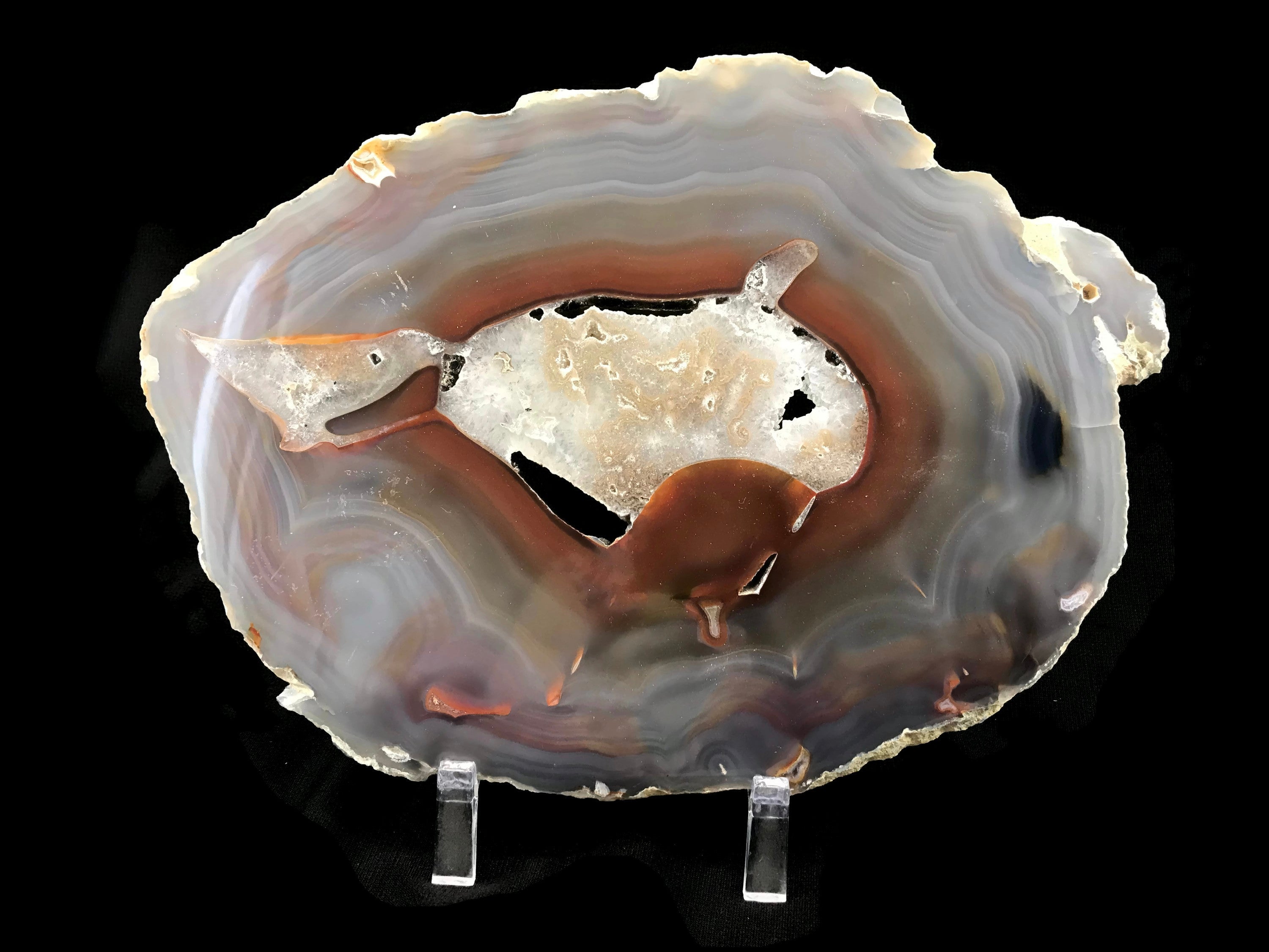 Ultra Translucent Brazilian Agate Slice