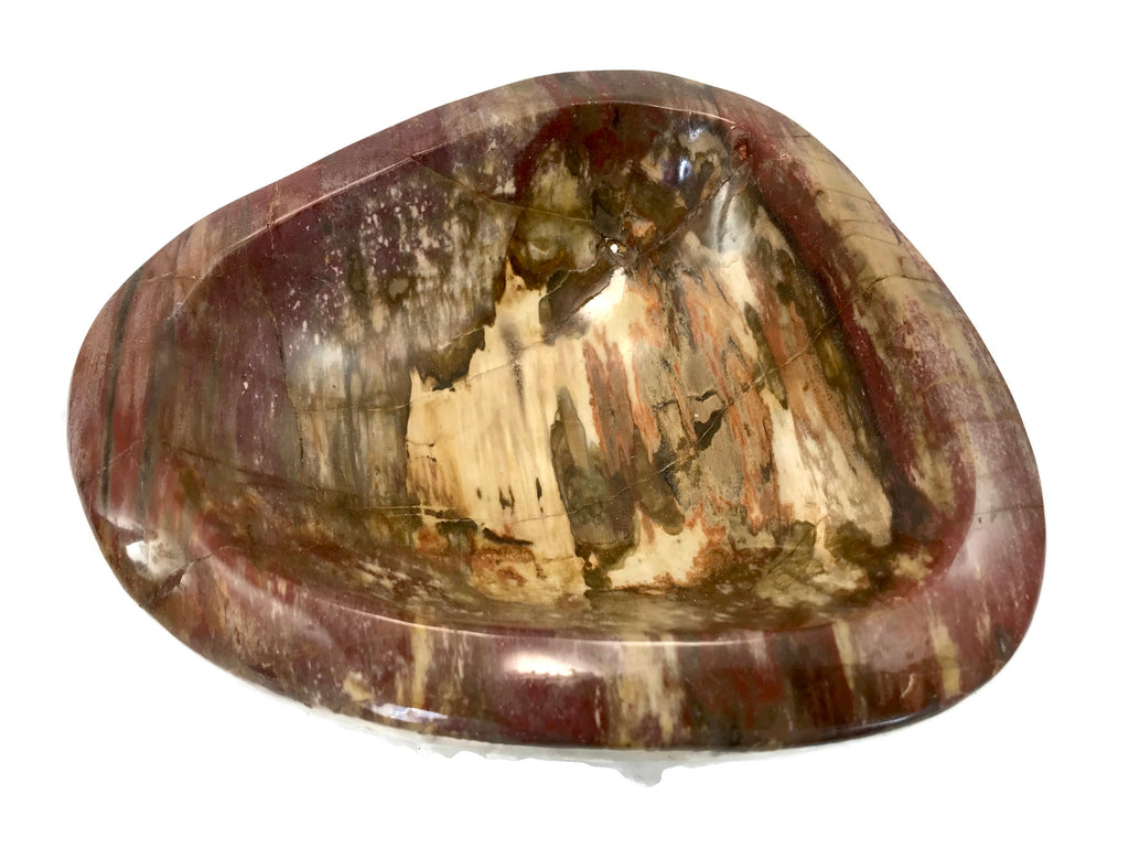 Tree Ringed Petrified Wood Bowl
