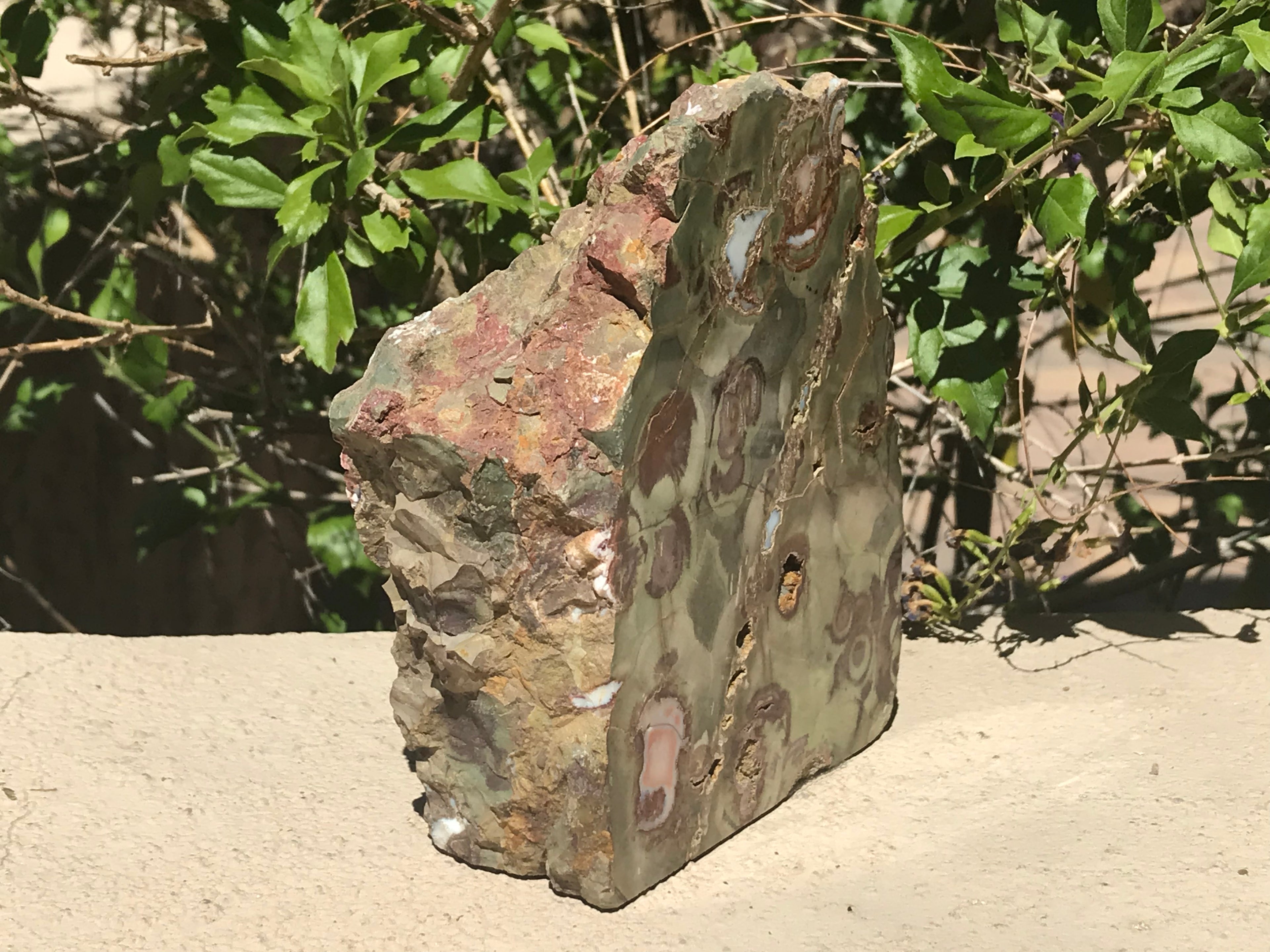 Australian Rainforest Jasper Nodule