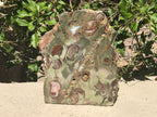 Australian Rainforest Jasper Nodule