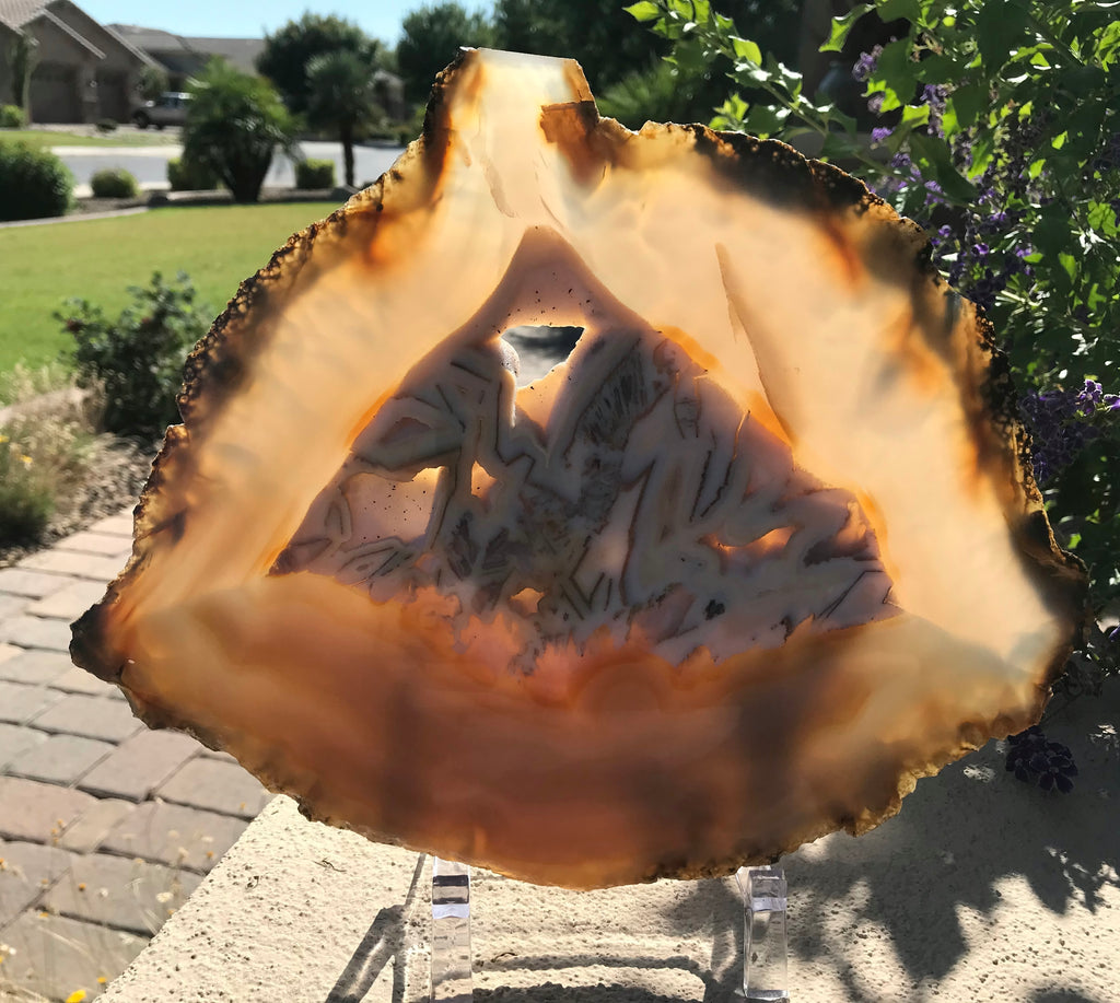 Patterned Agate Slice