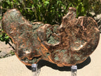 Michigan Copper Ore Plate