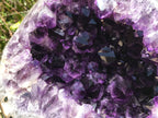 Agate Eye RimmedvAmethyst Geode