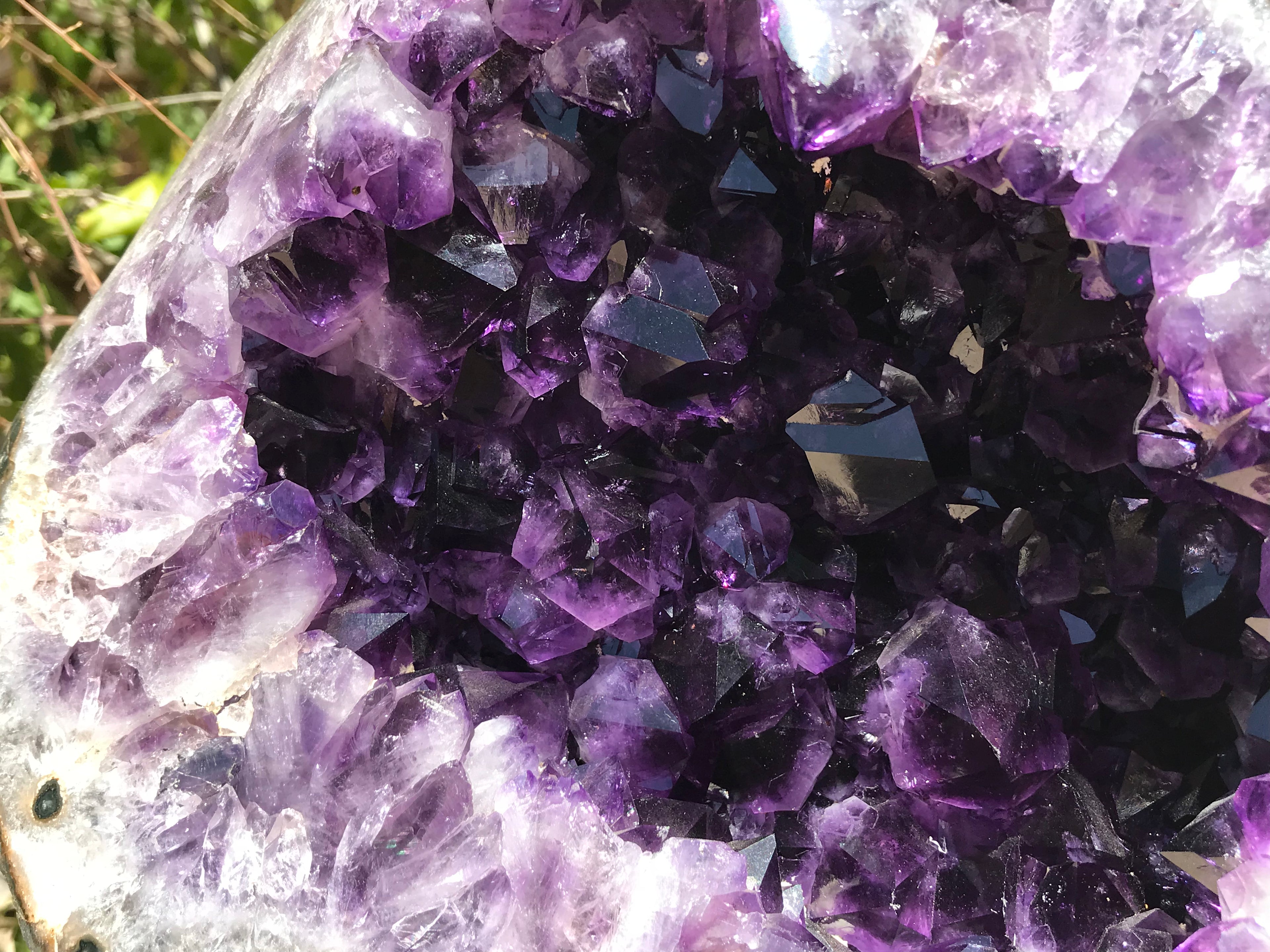 Agate Eye RimmedvAmethyst Geode