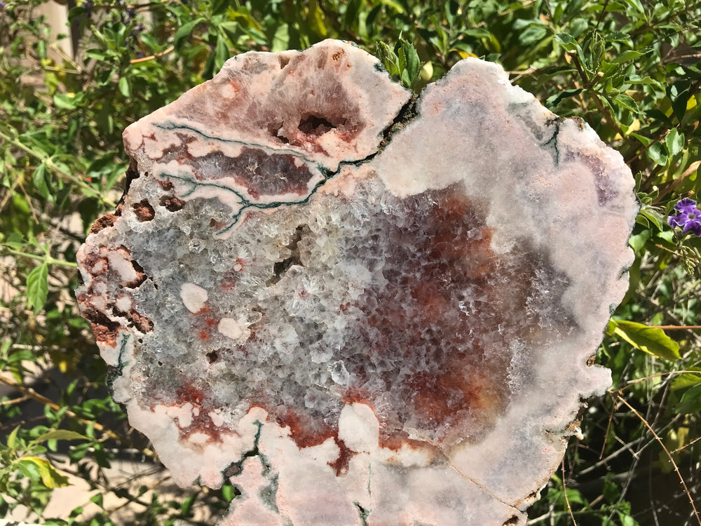 Vibrant Standing Rose Slab