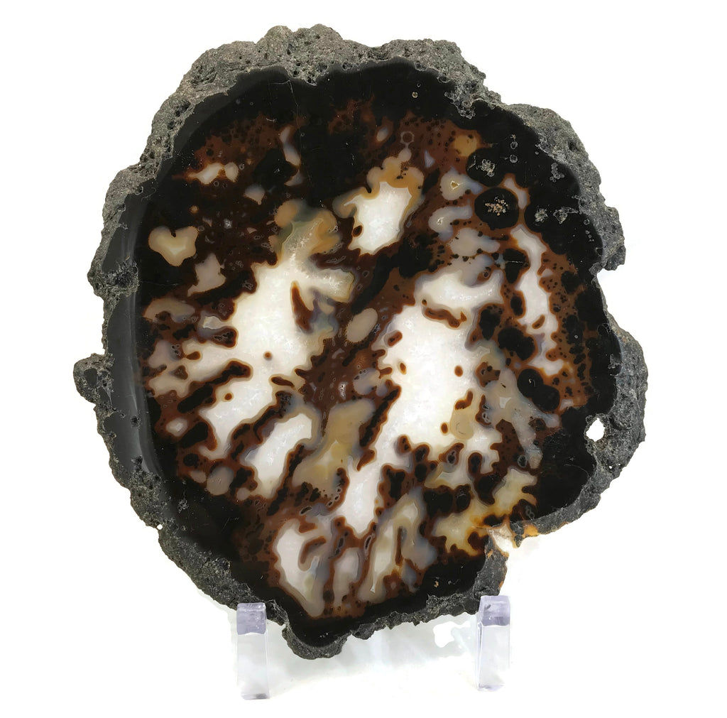 Dotted Agate Slice