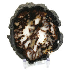 Dotted Agate Slice