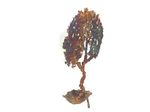 Vibrant Standing Rainbow Copper Oak Tree