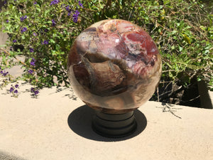 Magnifient Petrified Wood Sphere