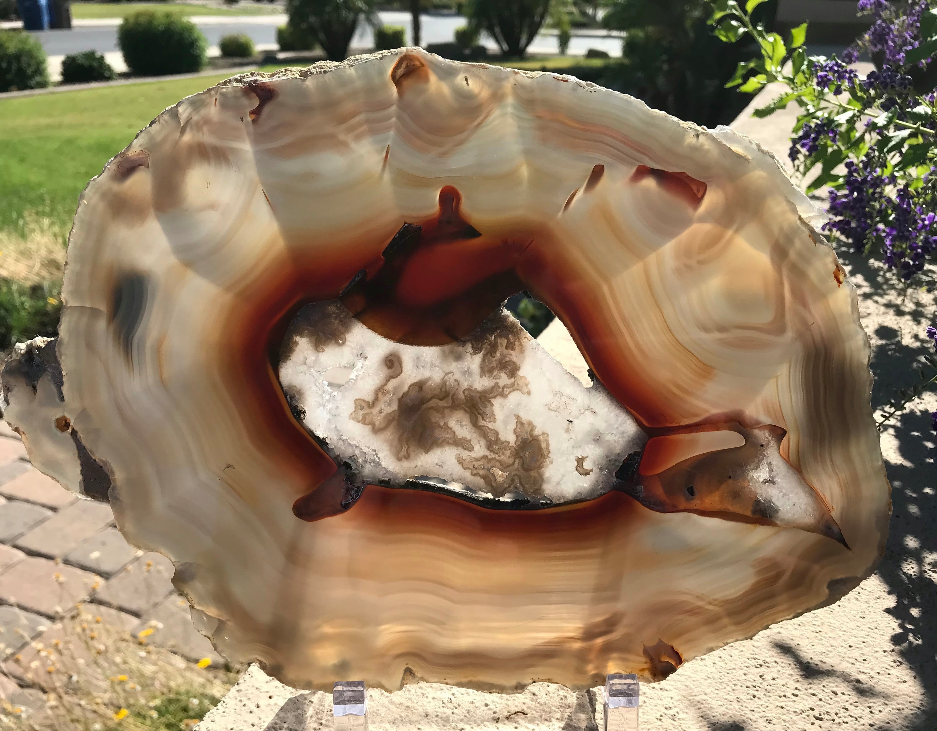 Red Centered Agate Slice