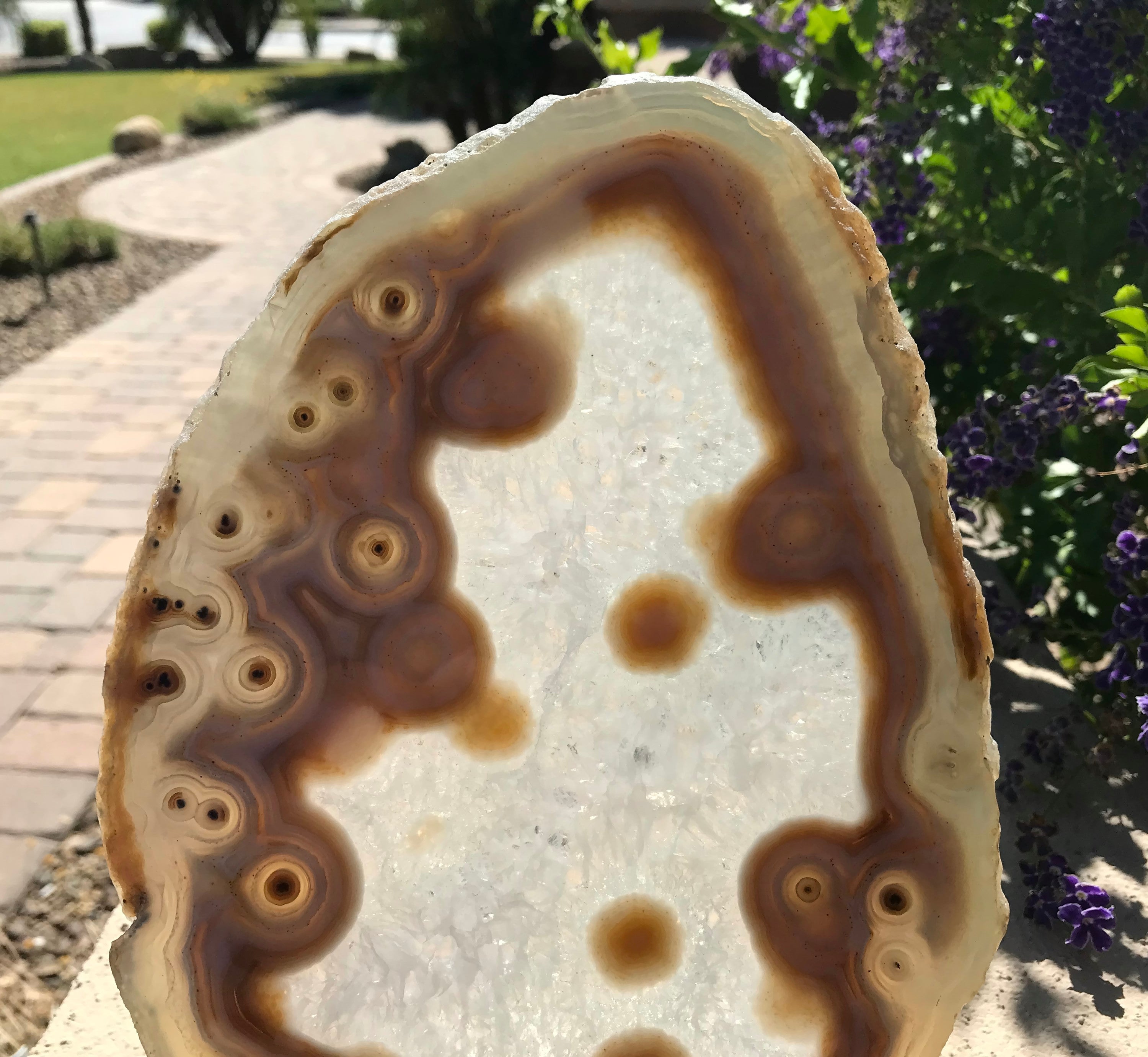 Eyed Agate Slice