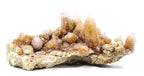 Giant African Cactus Quartz Plate