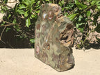 Australian Rainforest Jasper Nodule