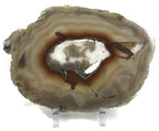 Ultra Translucent Brazilian Agate Slice