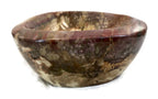 Tree Ringed Petrified Wood Bowl
