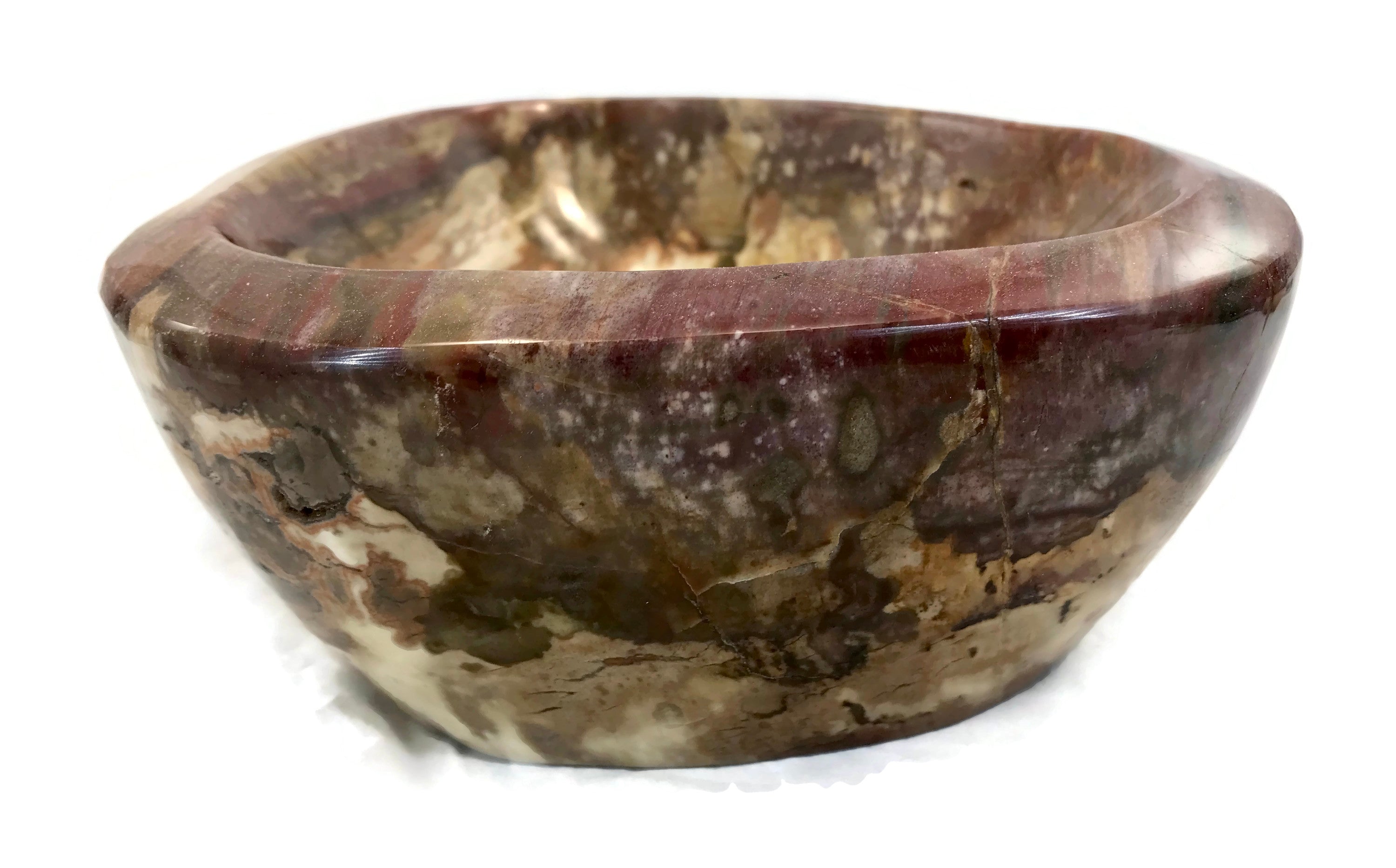 Tree Ringed Petrified Wood Bowl