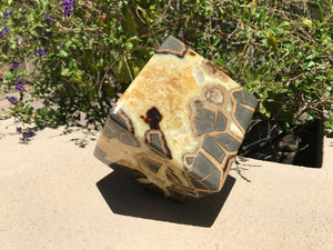 Standing Septarian Cube