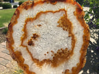 Crystal Agate Slice