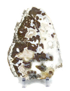 Night and Day Agate Slice