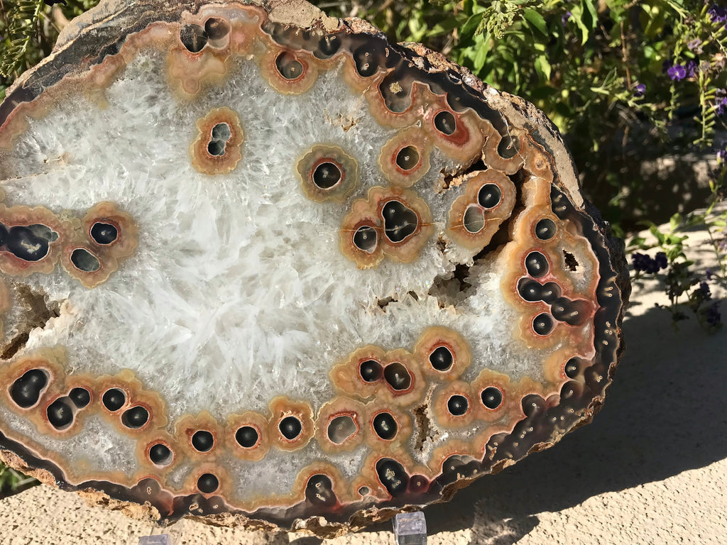 Dramatic Eyed Agate Endcap