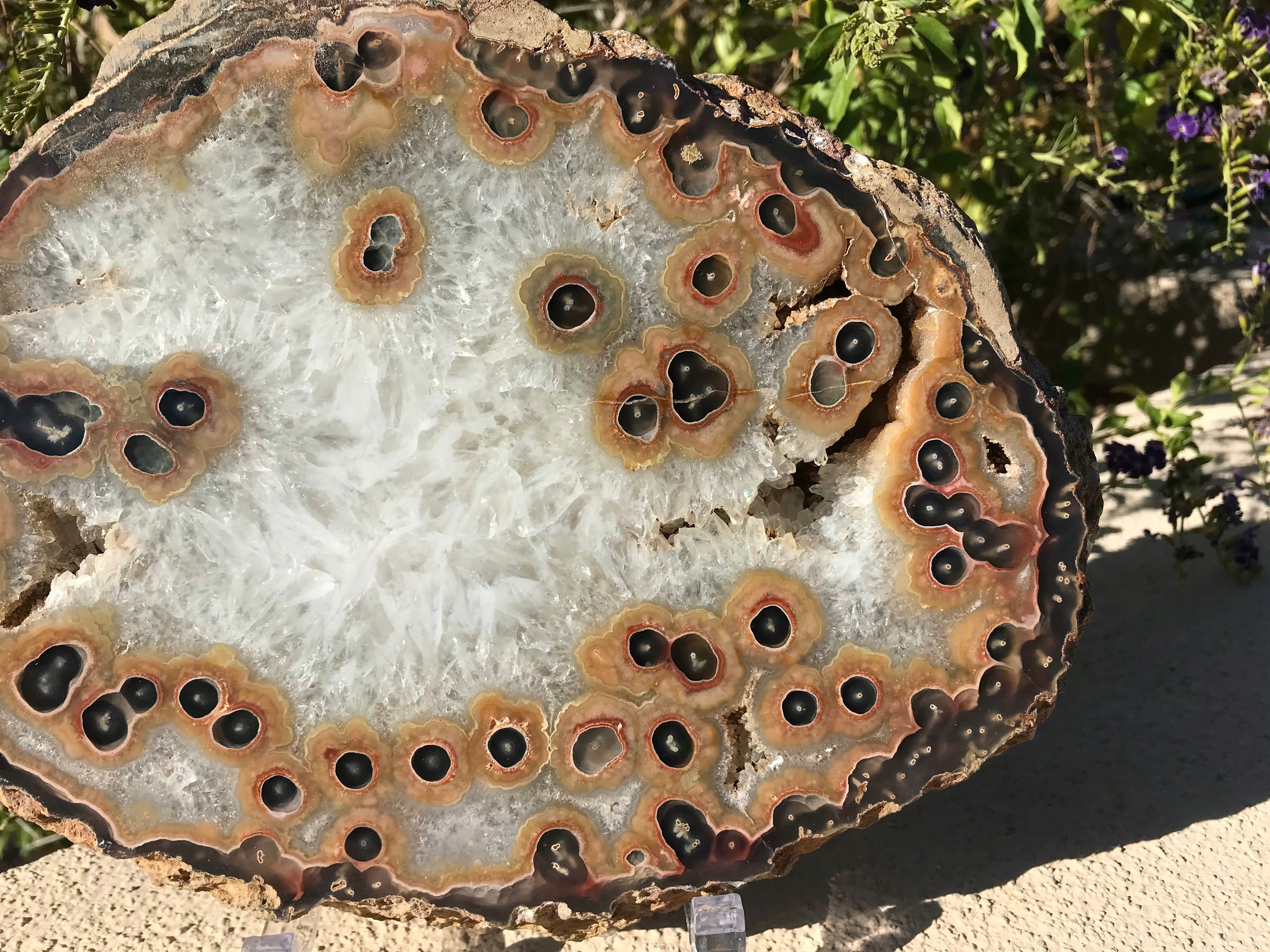Dramatic Eyed Agate Endcap