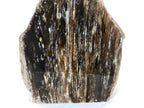 Striated Petrified Wood Freeform