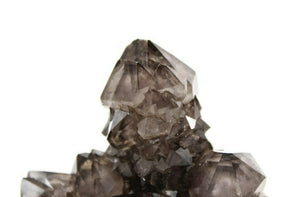 Rare Dark Purple Cactus Quartz Cluster