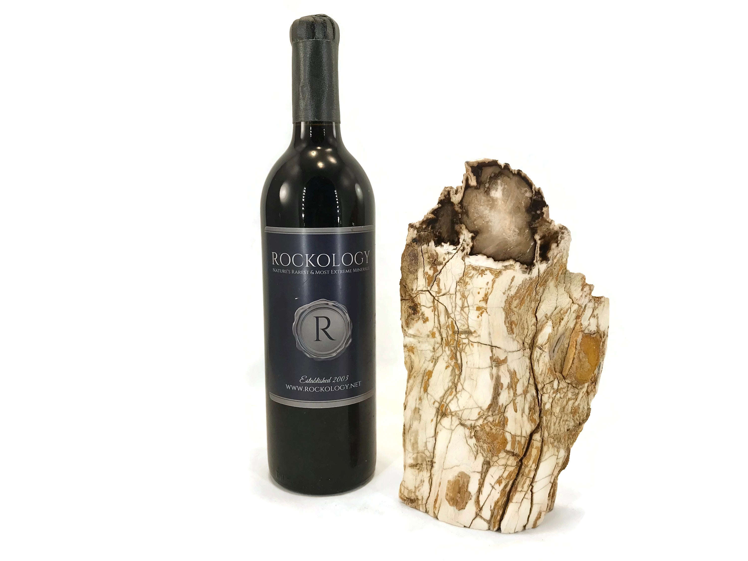 Washington State Petrified Wood Limb