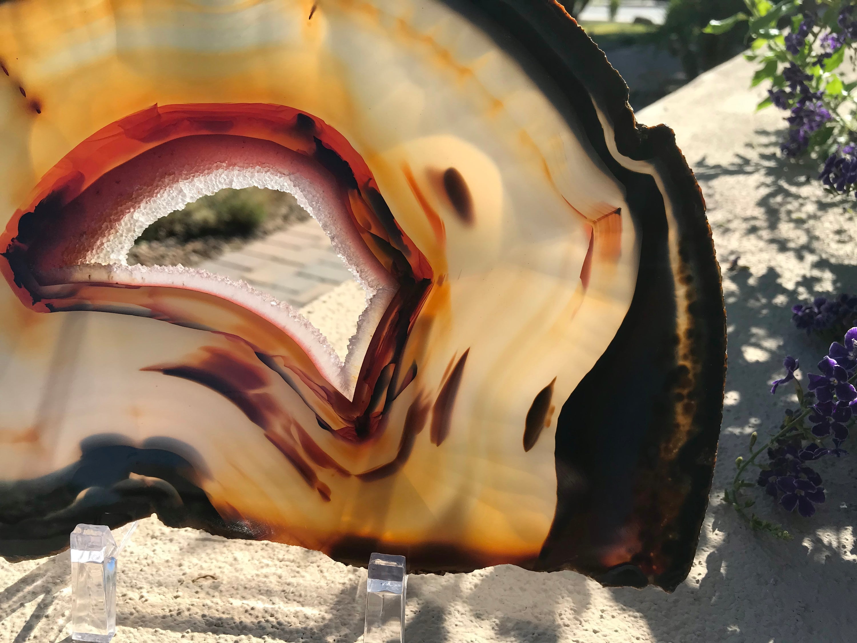 Crystal Lined Agate Slice