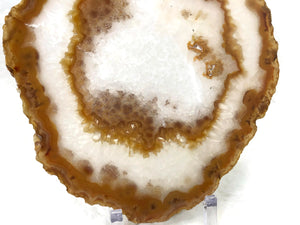 Crystal Agate Slice