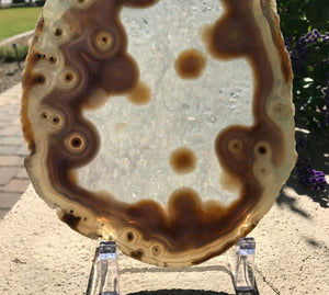 Eyed Agate Slice