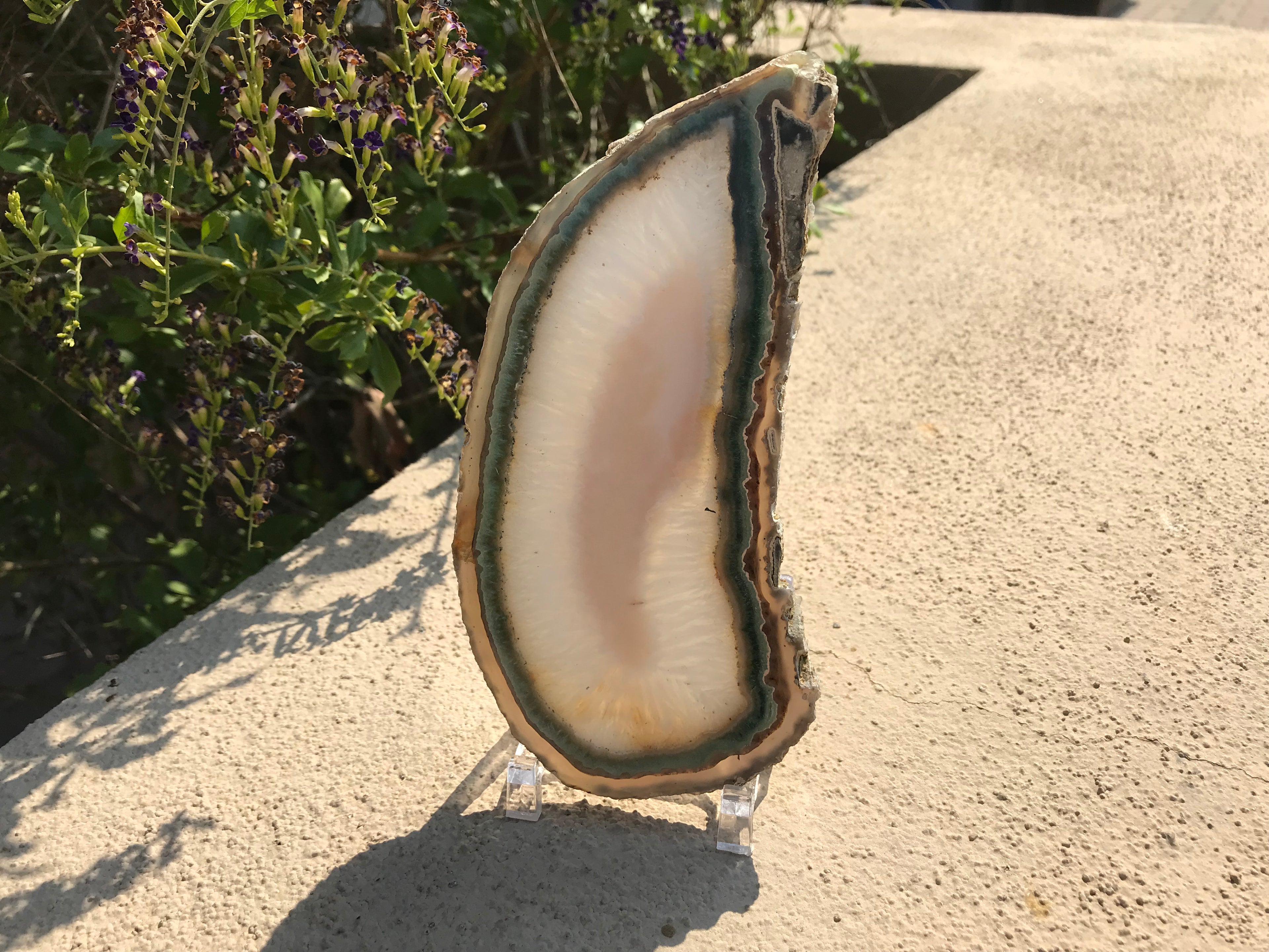 Green Rimmed Quartz and Agate Slice