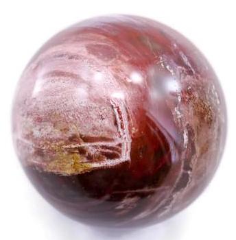 Petrified Wood Sphere