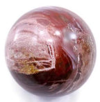 Petrified Wood Sphere