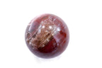 Petrified Wood Sphere