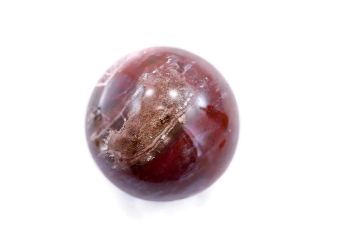 Petrified Wood Sphere