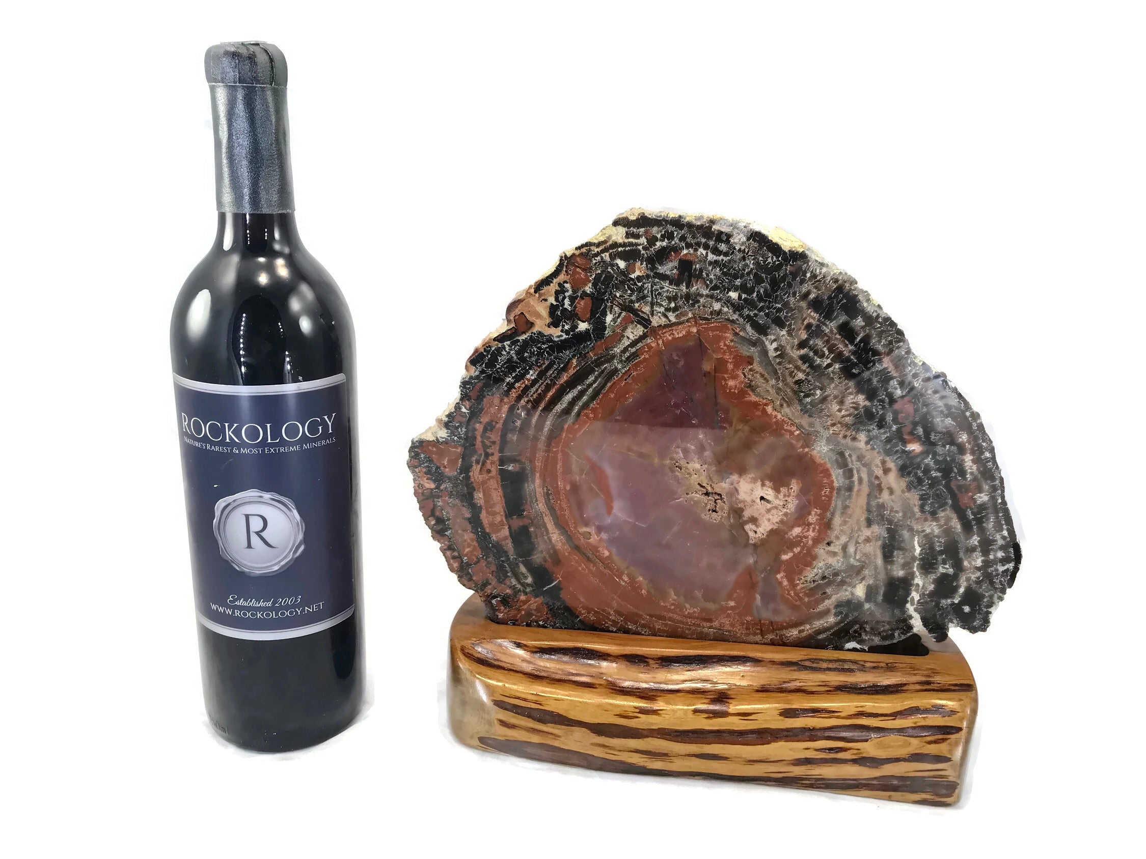 Rainbow Petrified Wood Round