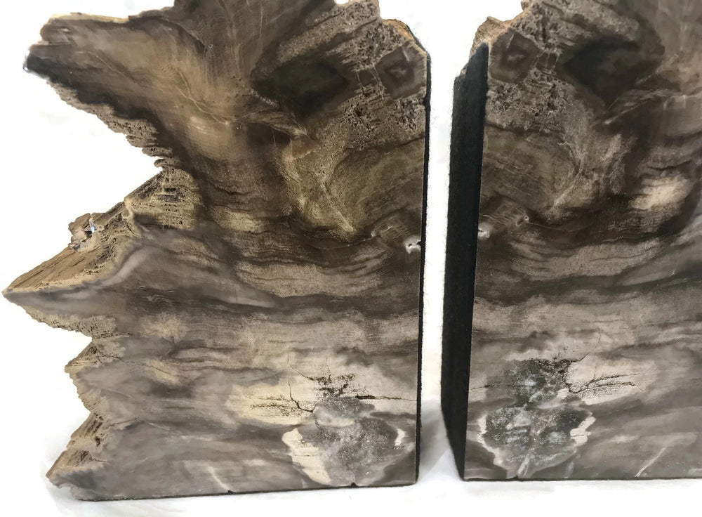Earth Toned Petrified Wood Bookends