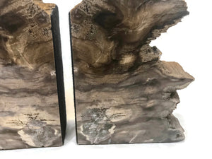 Earth Toned Petrified Wood Bookends