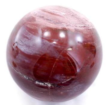 Petrified Wood Sphere