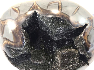 Dark Crystal filled Septarian Nodule