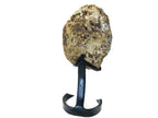 Unusual Blond Skinned Amethyst Geode with Custom Stand