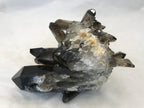 Double Terminated Black Crystal Cluster